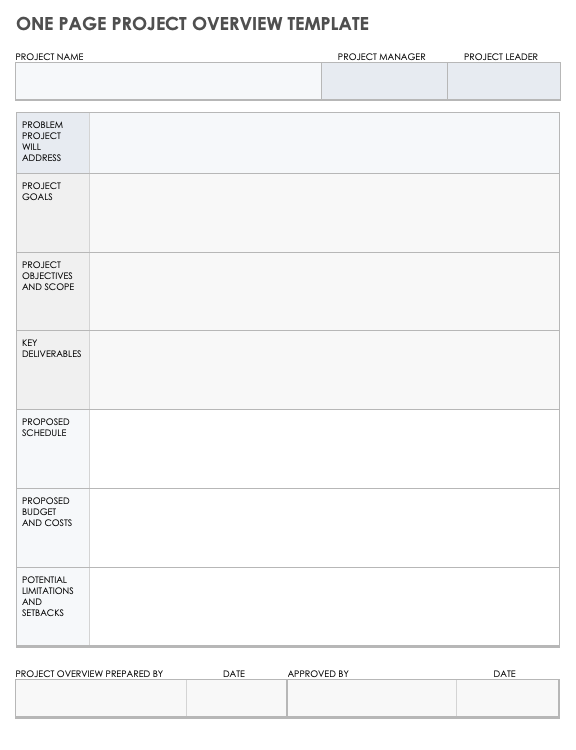 One Page Project Overview Template