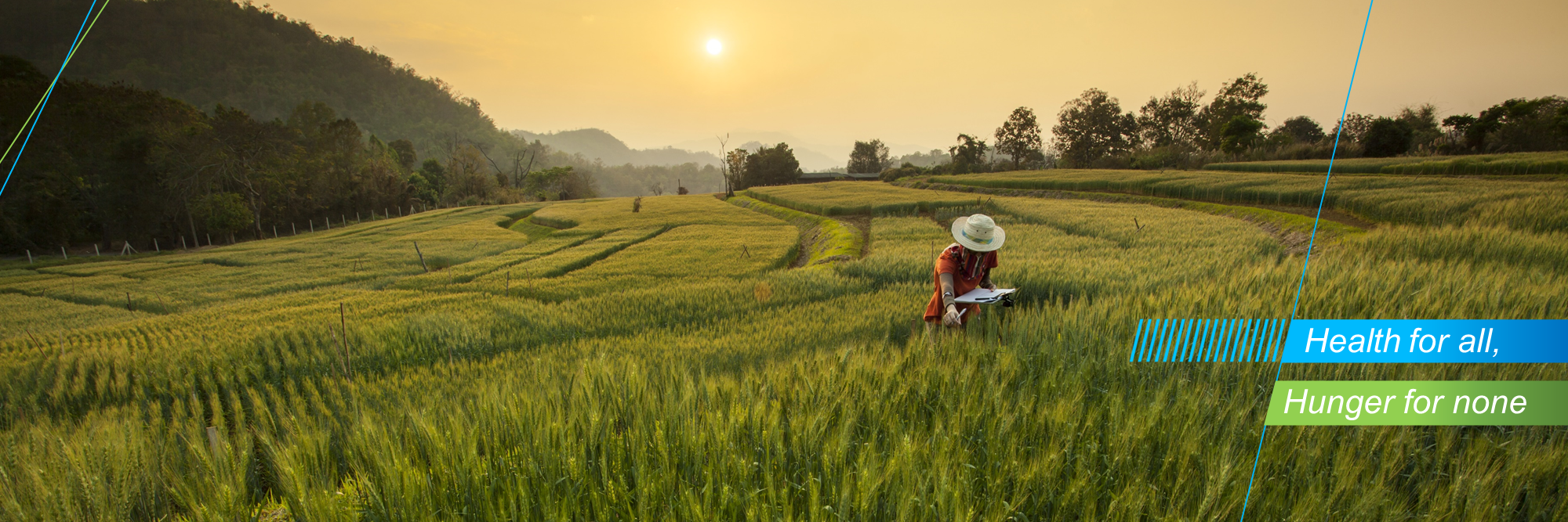 x_header_mission_farmer_in_field_2