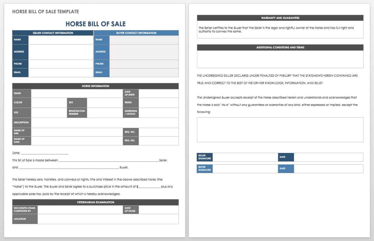 Horse Bill of Sale Template